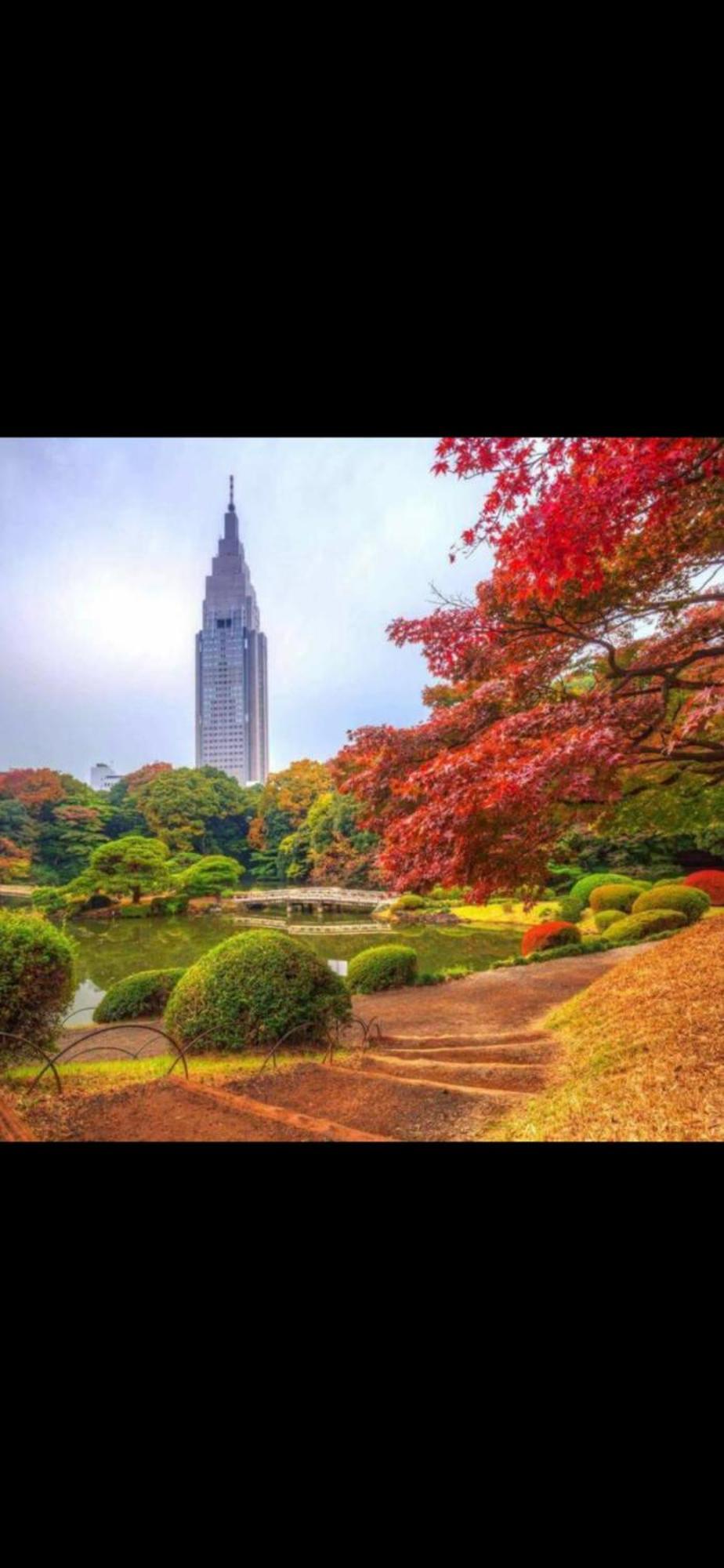 新宿安靜の家-A Quiet Home In Shinjuku - A 26 Square Meter Double Bed Room That Feels Like Home Tokyo Eksteriør billede